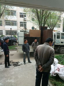 杨凌小蚂蚁搬家 一站式搬家与保洁服务，透明报价省心无忧